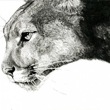Tatuaż puma