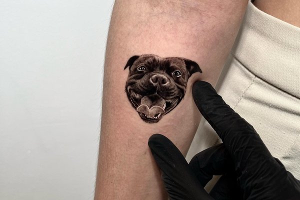 tatuaż amstaff
