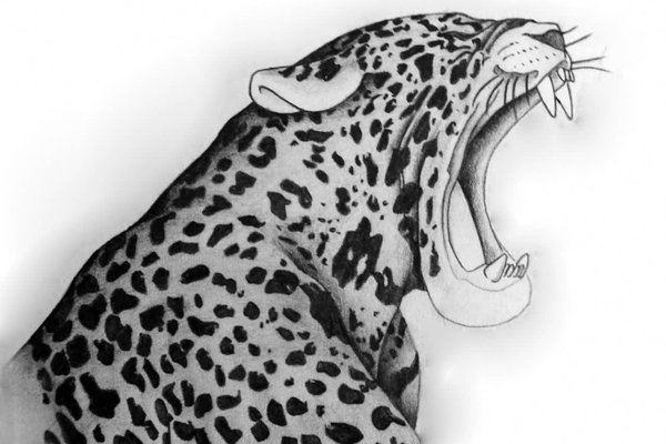 Tatuaż Jaguar