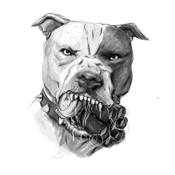 Tatuaż pitbull