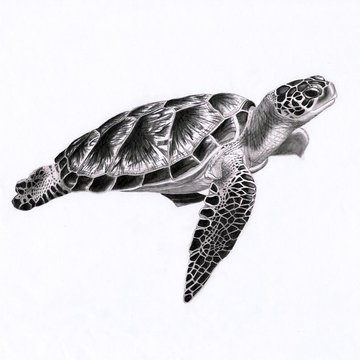 Tatuaż Żółw