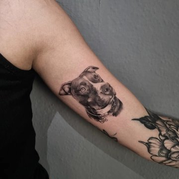 tatuaż amstaff