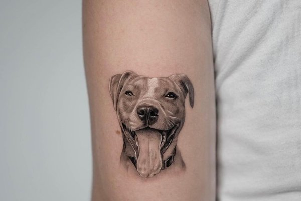 tatuaż amstaff