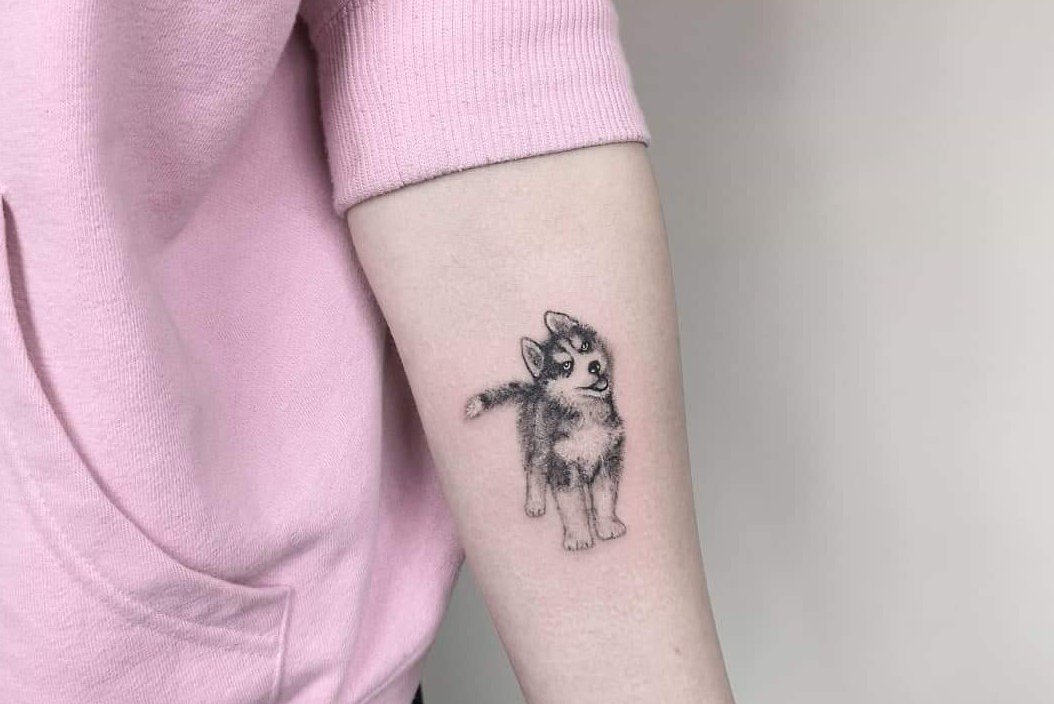 Szkice tatuażu „husky”