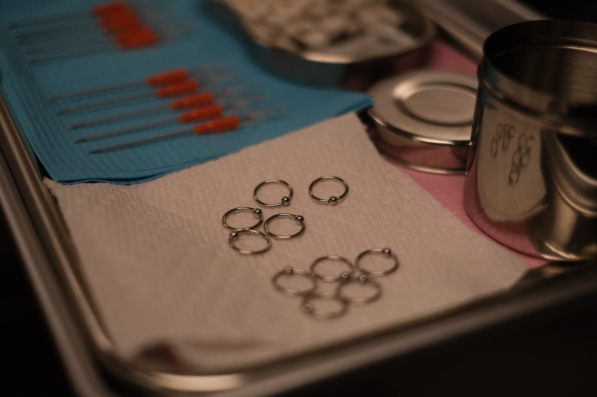 Kółka i igły do piercingu gorsetowego pleców