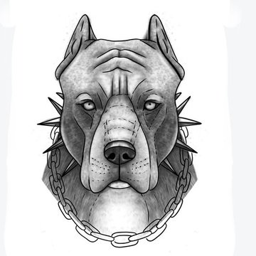 Tatuaż pitbull
