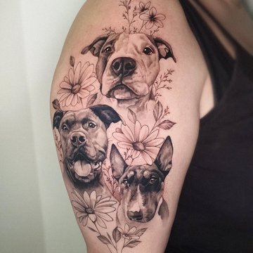 tatuaż amstaff