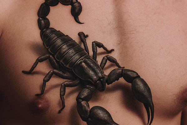 tatuaż skorpion 3d znaczenie wzór
