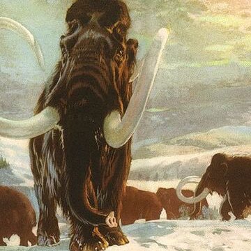 Tatuaż mamut