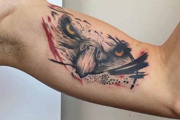 Tatuaż orzeł w kolorze na bicepsie mężczyzny