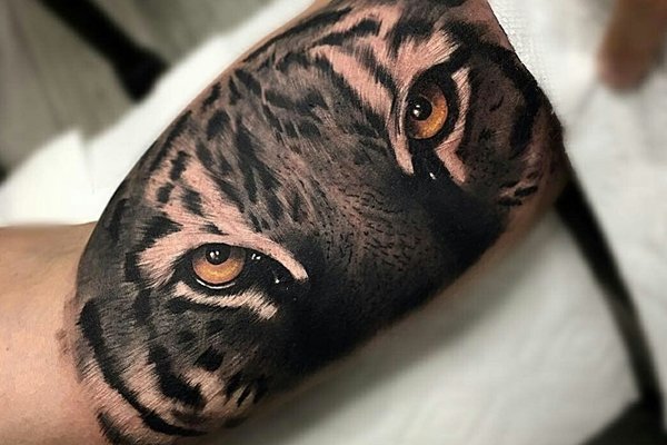 Tatuaż tygrys na bicepsie mężczyzny