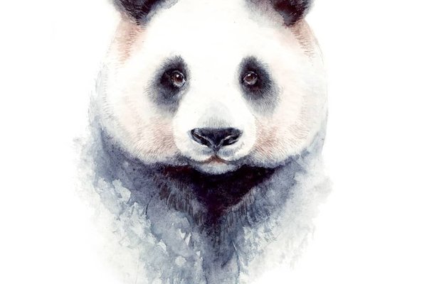 Tatuaż panda