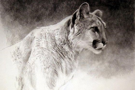 Tatuaż puma