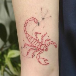 Tatuaż ze znakiem zodiaku Skorpion