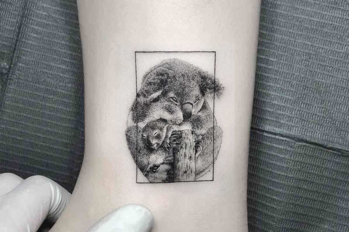 tatuaż koala