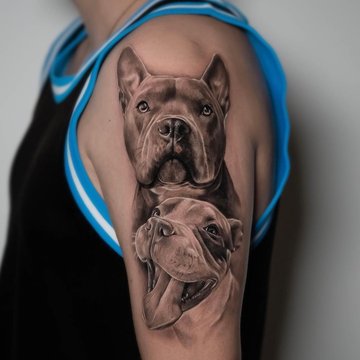 tatuaż amstaff