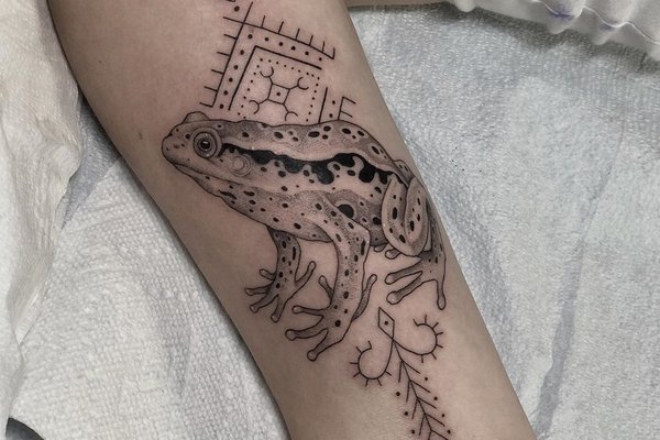 Tatuaż ropucha i żaba