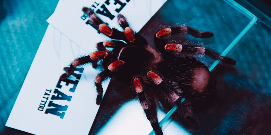 Otwarcie studio w Wałbrzychu