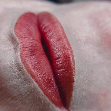 Mikropigmentacja ust — efekt po zabiegu