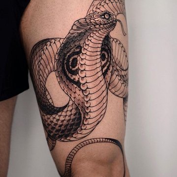 Tatuaż Kobra