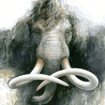 Tatuaż mamut