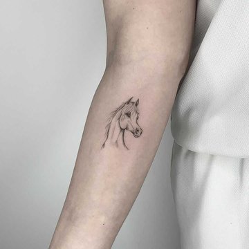Koń w stylu fine line na skórze