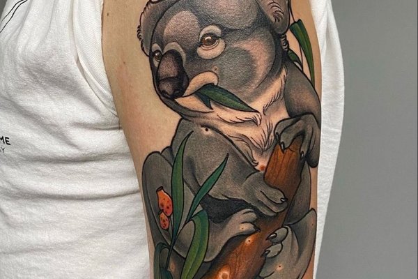 tatuaż koala