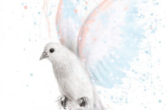 Tatuaż gołąb