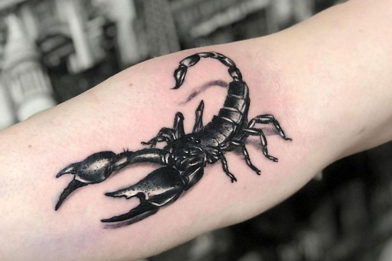 Szkice tatuażu „Skorpion”