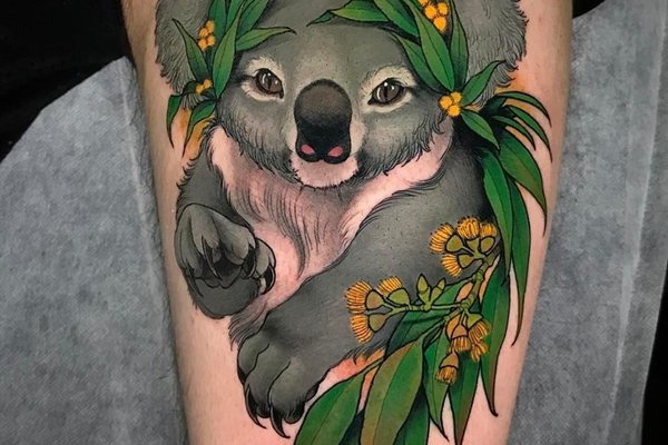tatuaż koala
