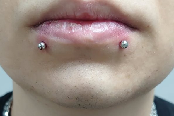 Snake bites: dwa kolczyki w dolnej wardze