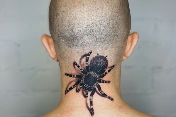 Tatuaż na karku przedstawiający realistycznego pająka
