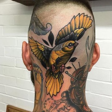 Tatuaż na karku i głowie przedstawiający kolorowego ptaka w locie