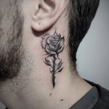 Tatuaż za uchem męski – róża w czerni i szarości