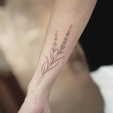 Lawenda w stylu fine line