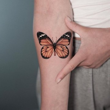 Motyl