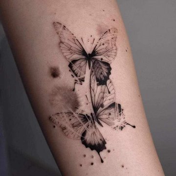 Motyl