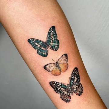 Motyl