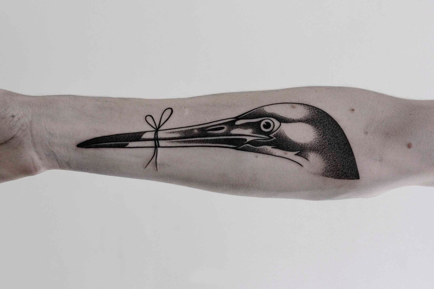 Szkice tatu dotwork