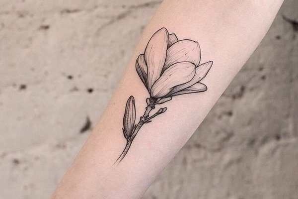 Minimalistyczna magnolia