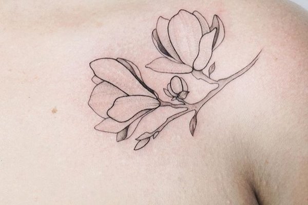 Czarna magnolia w stylu lineart