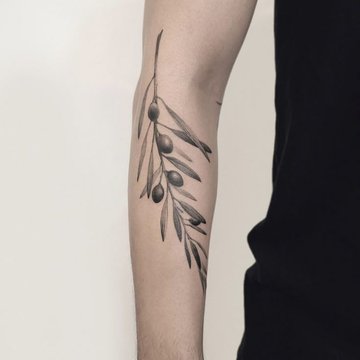 Gałązka oliwna w stylu fine line