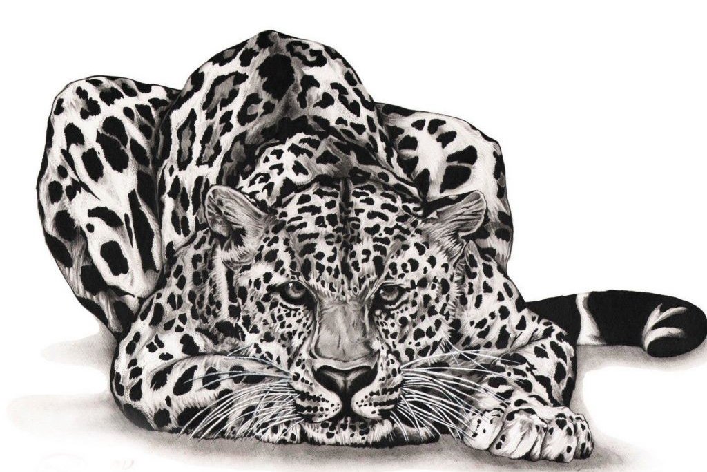 Tatuaż Jaguar
