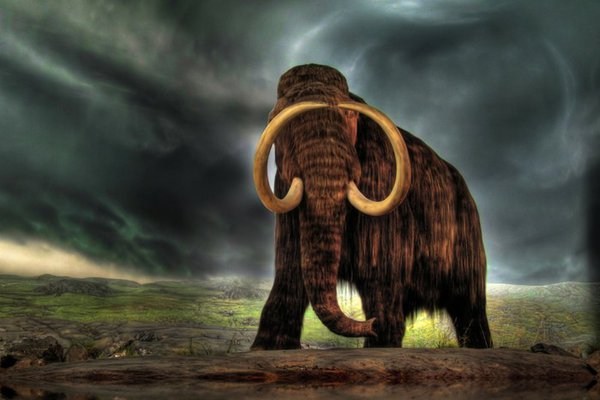 Tatuaż mamut
