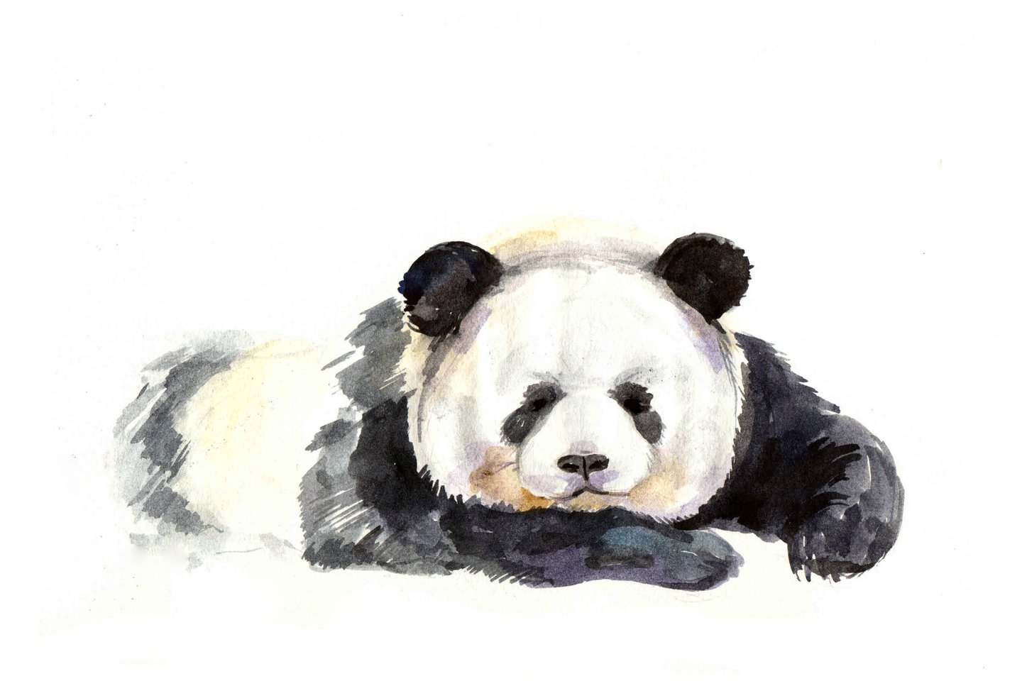 Tatuaż panda