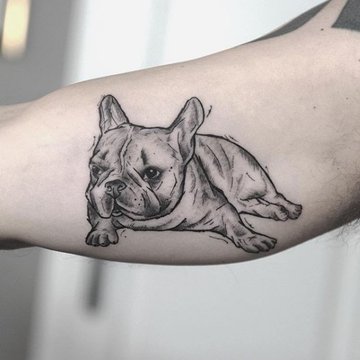 Tatuaż "Bulldog"