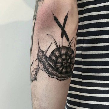 Szkice tatuażu ślimak