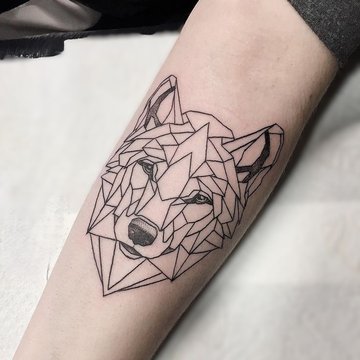 Wilk z podziałem na geometryczne sekcje В